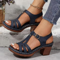 Encanto Solar
